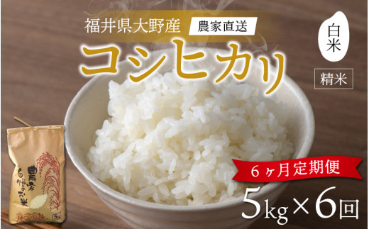 【先行予約】【令和6年産 新米】【6ヶ月定期便】福井県大野市産 コシヒカリ 白米 精米 5kg 農家直送