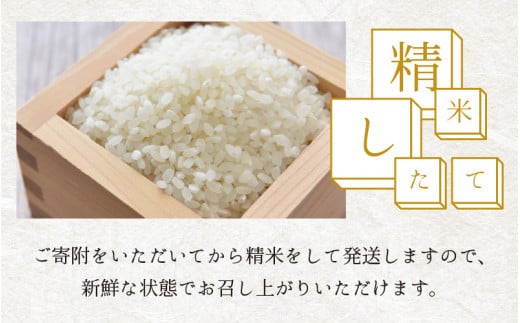 【先行予約】【令和6年産 新米】【6ヶ月定期便】福井県大野市産 コシヒカリ 白米 精米 5kg 農家直送