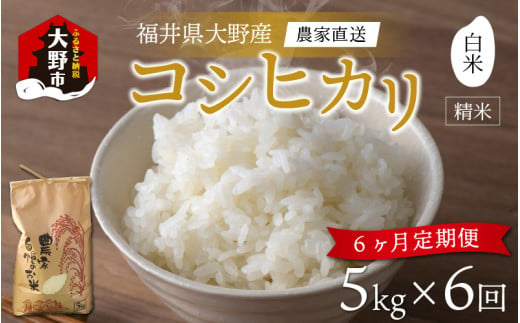 【先行予約】【令和6年産 新米】【6ヶ月定期便】福井県大野市産 コシヒカリ 白米 精米 5kg 農家直送