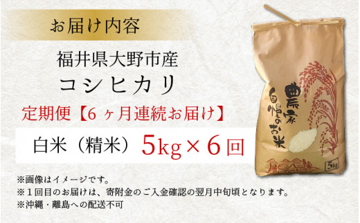 【先行予約】【令和6年産 新米】【6ヶ月定期便】福井県大野市産 コシヒカリ 白米 精米 5kg 農家直送