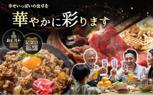 ＜配送月が選べる!!＞数量限定 宮崎牛 ウデスライス 500g 肉質等級4等級 国産 人気 おすすめ 2024年12月お届け【B531-S-2412】