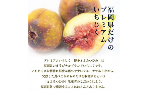 【2024年9月下旬より順次発送】福岡県産 とよみつ姫 約1.2kg以上(約300g×4パック入り) うまうまもぐもぐ