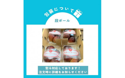 【2024年9月下旬より順次発送】福岡県産 とよみつ姫 約1.2kg以上(約300g×4パック入り) うまうまもぐもぐ