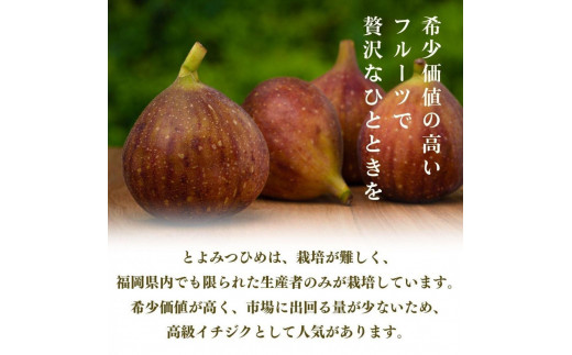 【2024年9月下旬より順次発送】福岡県産 とよみつ姫 約1.2kg以上(約300g×4パック入り) うまうまもぐもぐ