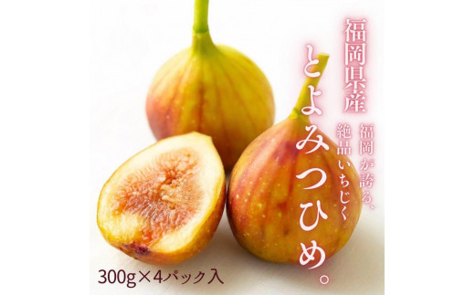 【2024年9月下旬より順次発送】福岡県産 とよみつ姫 約1.2kg以上(約300g×4パック入り) うまうまもぐもぐ