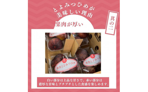 【2024年9月下旬より順次発送】福岡県産 とよみつ姫 約1.2kg以上(約300g×4パック入り) うまうまもぐもぐ