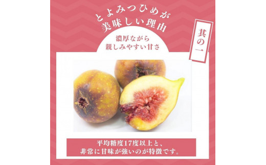 【2024年9月下旬より順次発送】福岡県産 とよみつ姫 約1.2kg以上(約300g×4パック入り) うまうまもぐもぐ