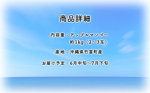 2025年 先行予約 アップルマンゴー 約1kg 2～3玉 セット 八重山マンゴー品評会総合1位を計3回獲得！高糖度保証！農園ファイミール 濃厚 果物 フルーツ