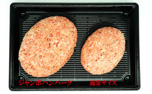 【牛壱】国産牛100％ ジャンボハンバーグ 5個　300g×5個