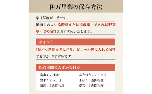 【令和6年産先行予約】伊万里梨「新高」 5kg 大型種 B162