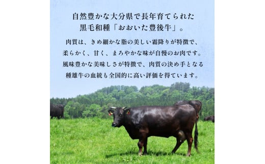 おおいた豊後牛 黒毛和種 肩ロース 焼肉用 320g おおいた 豊後牛 黒毛和種 肩ロース 焼肉用 牛肉 和牛 霜降り 柔らかい まろやか 大分県 風味豊か 肉 お取り寄せ BBQ シンプル調理 伝統料理 贈り物