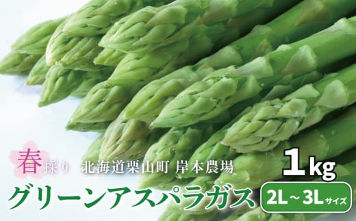 【先行予約】極太 北海道産 春採りグリーンアスパラガス 1kg 3L～2L 岸本農場　YE036