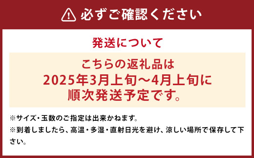 【数量限定】貯蔵 完熟不知火約3.5kg