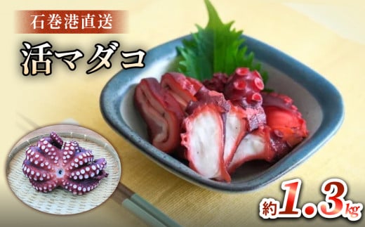 マダコ 煮たこ 石巻港 直送 たこ タコ ボイル 活マダコ 丸ごと おかず おつまみ 