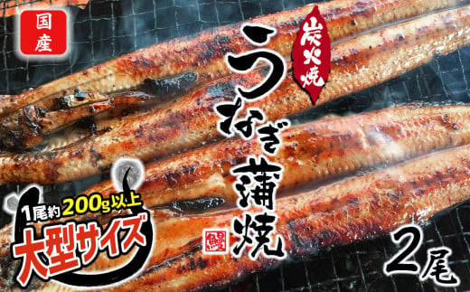 うなぎ 数量限定 国産 特大うなぎ 2尾  | 熊本県 熊本 くまもと 和水町 なごみまち なごみ 鰻 ウナギ 加工品 加工済 数量限定 冷凍