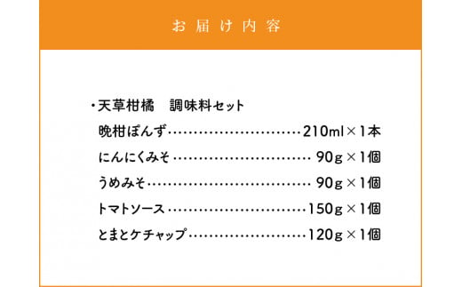 S024-005_天草柑橘　調味料セット