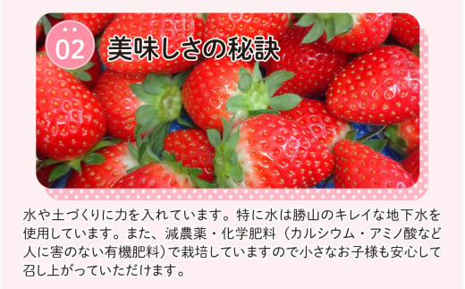 【先行予約】勝山産いちご（かおり野）400g×1パック ※2024年12月中旬より順次発送 [A-045009]