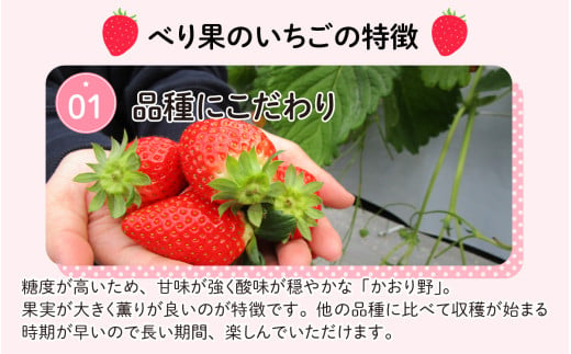 【先行予約】勝山産いちご（かおり野）400g×1パック ※2024年12月中旬より順次発送 [A-045009]