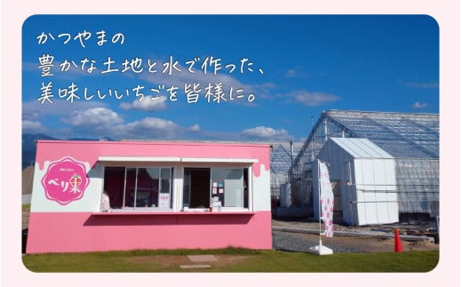 【先行予約】勝山産いちご（かおり野）400g×1パック ※2024年12月中旬より順次発送 [A-045009]