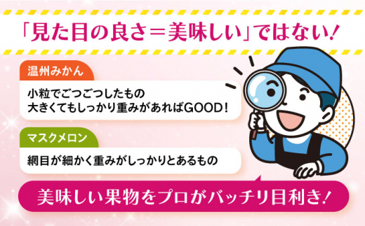 【全12回定期便】 旬のフルーツ食べ比べセット 季節により厳選した果物を3品目詰め合わせ 長崎県/ダイコー青果 ・吉岡青果[42ACAF012] フルーツ 果物 セット 長崎 みかん ぶどう びわ 梨 いちご メロン キウイ