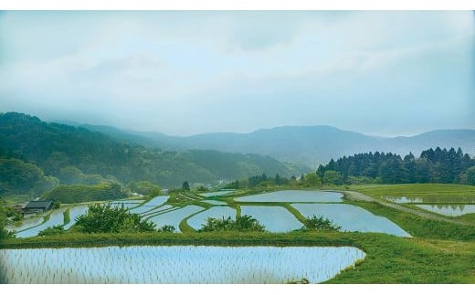 岩美町横尾の棚田