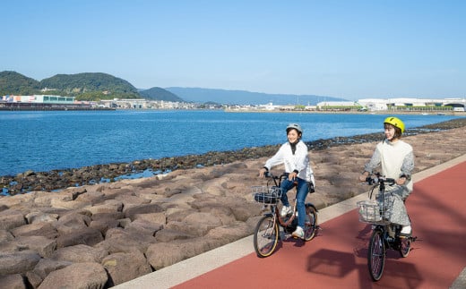 町内観光周遊 レンタサイクル利用券