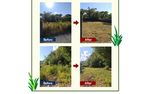 草刈サービス（空家、空地管理）100平米まで [№5303-0248]