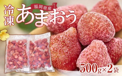 福岡産冷凍あまおう500g×2袋【いちご イチゴ 苺 果物 フルーツ あまおう 博多あまおう 冷凍あまおう 冷凍 福岡産  アイス 贅沢 お菓子 菓子 おかし デザート パフェ ヨーグルト ジャム ソース ババロア ムース スムージー かき氷 シャーベット 冷凍食品 人気 おすすめ 福岡県 大任町 ふるさと納税 送料無料 AH004】