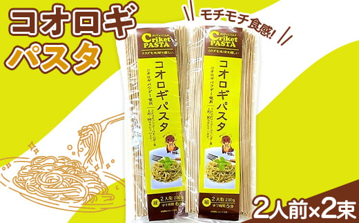 コオロギパスタ2人前×2束セット 麺 めん 山形県 新庄市 F3S-1671