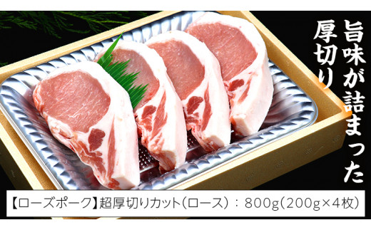 【 厚切り ! 】 常陸牛 × ローズポーク コラボ セット 1.4kg A4 A5 ランク 霜降り サーロイン ステーキ BBQ 厚切 牛肉 肉 にく とんかつ トンテキ ブランド豚 厚切 豚ロース 豚肉