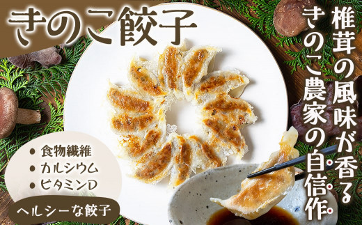 香り立つ！！「きのこ餃子」72個 _AA-8702_ (都城市) ギョウザ 12個入り 6パック 無農薬栽培 椎茸 きくらげ 都城産ブランド豚 きなこ豚 きゃべつ ニラ ニンニク使用 ヘルシー餃子 大杉しいたけ園