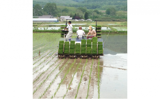 仁木町「ななつぼし」定期便（毎月5kg発送/全8回）