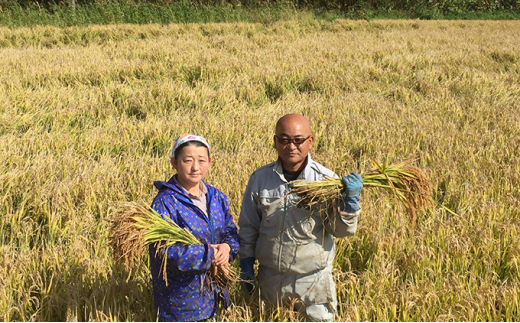 仁木町「ななつぼし」定期便（毎月5kg発送/全8回）