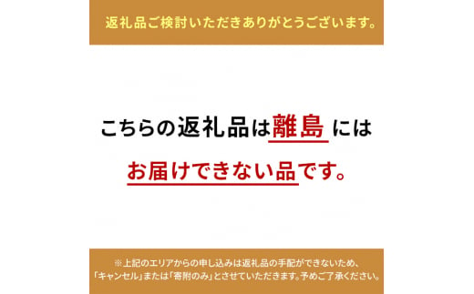 ぶどう 2025年 先行予約 シャイン マスカット 2房（合計1.3kg以上）贈答クラス  ブドウ 葡萄  岡山県産 国産 フルーツ 果物 ギフト OEC KINGDOM ぶどう家