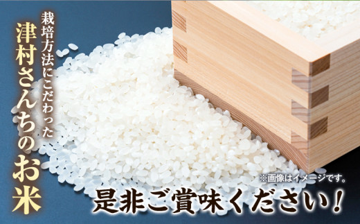 精米 米 こめ 令和6年産 新米 ミルキープリンセス 2kg 津村佳宏《10月上旬-2月上旬に出荷予定(土日祝除く)》和歌山県 日高町 精米 ごはん ご飯 食卓