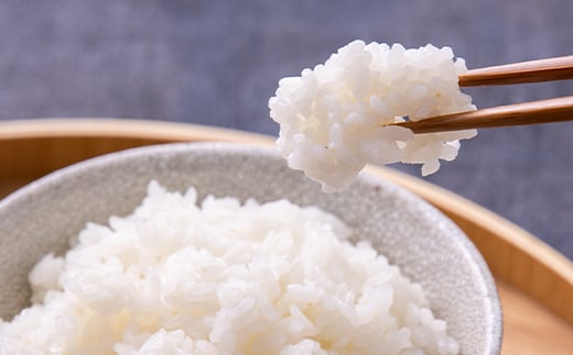 ＜令和6年産＞食べ比べ青森県産米 精米　まっしぐら5kg+はれわたり5kg　合計10kg【1456681】