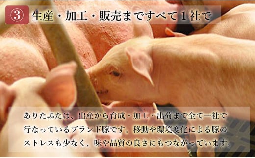 【人気！豚肉7種セット】 ありたぶた バラエティSセット (豚肉7種) 小分け 真空パック 豚肉 ロース バラ ウインナー ソーセージ ハンバーグ N20-48