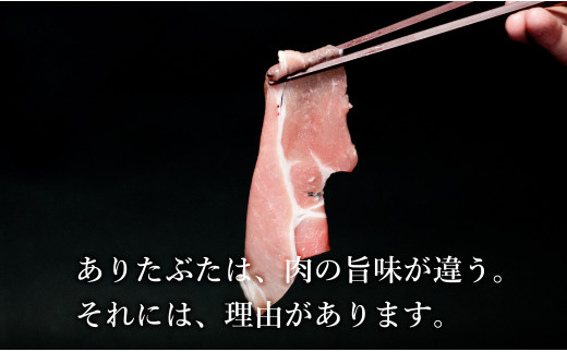 【人気！豚肉7種セット】 ありたぶた バラエティSセット (豚肉7種) 小分け 真空パック 豚肉 ロース バラ ウインナー ソーセージ ハンバーグ N20-48