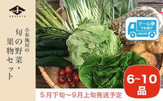 直売所から直送 旬の野菜・果物セット 6～10品 ［小布施屋］野菜 やさい 果物 フルーツ 詰め合わせ 詰合せ  【2024年5月下旬～9月上旬発送】  ［H-79］