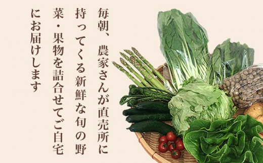 直売所から直送 旬の野菜・果物セット 6～10品 ［小布施屋］野菜 やさい 果物 フルーツ 詰め合わせ 詰合せ  【2024年5月下旬～9月上旬発送】  ［H-79］