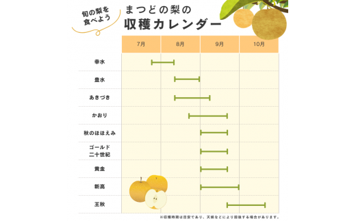 【9月発送分】吉乃園 松戸の完熟梨 品種おまかせ 5kg