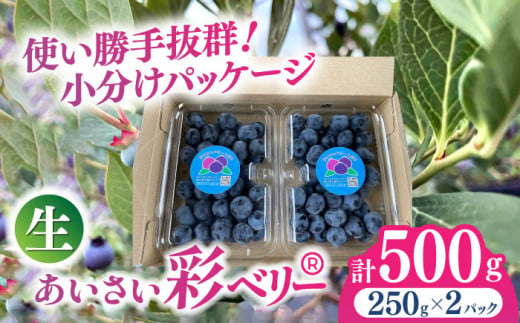 あいさい彩ベリー ブルーベリー 生果実 250g × 2パック 産地直送 青果 愛西 フルーツ