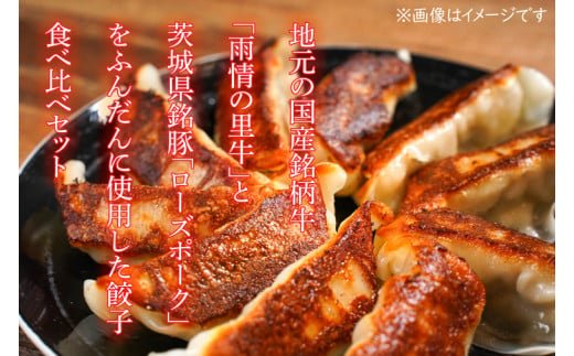 雨情の里牛・ローズポーク餃子セット【国産 ブランド牛 ぎょうざ ギョウザ 食べ比べ】(BL108)