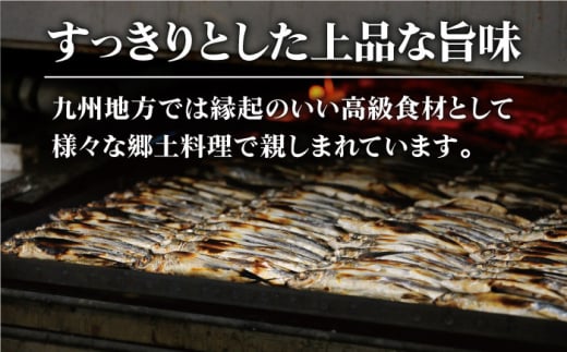 五島列島産 あごだし 3点セット / だし 詰め合わせ パック 粉末 和風 スープ