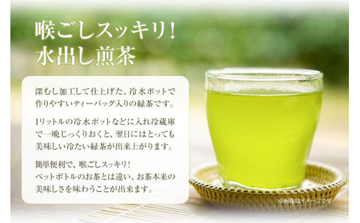 水出し煎茶 100g(10g×10個)  5袋 お茶処茶里庵 さりあん《90日以内に出荷予定(土日祝除く)》徳島県 美馬市 お茶 茶 緑茶 日本茶 煎茶 深蒸し煎茶 深蒸し 水出し ティーバッグ ティーパック