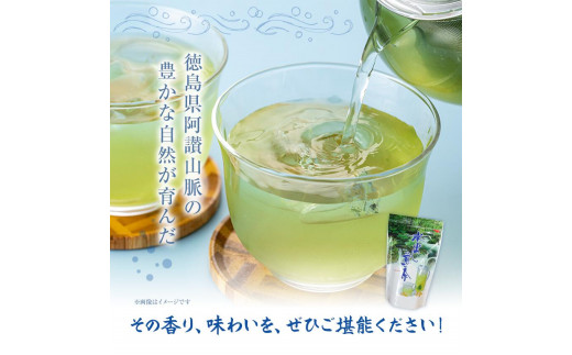 水出し煎茶 100g(10g×10個)  5袋 お茶処茶里庵 さりあん《90日以内に出荷予定(土日祝除く)》徳島県 美馬市 お茶 茶 緑茶 日本茶 煎茶 深蒸し煎茶 深蒸し 水出し ティーバッグ ティーパック