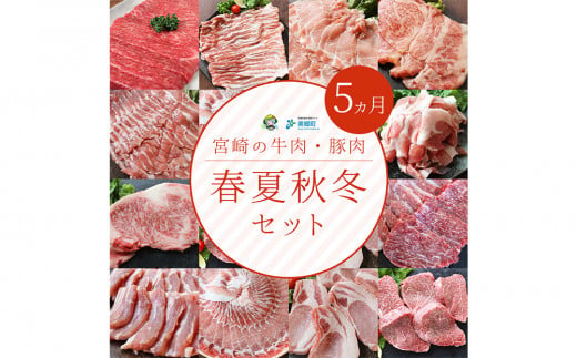 5回 定期便 宮崎牛 宮崎県産 豚 春夏秋冬 5ヶ月 コース 合計13.6kg [レグセントジョイラー 宮崎県 美郷町 31bb0027] 冷凍 送料無料 予約 国産 牛 肉 豚 もも 宮崎 県産 ロース モモ スライス バラ 切り落とし 切落し 炒め物 焼肉 とんかつ トンカツ ステーキ 肩 バーベキュー BBQ