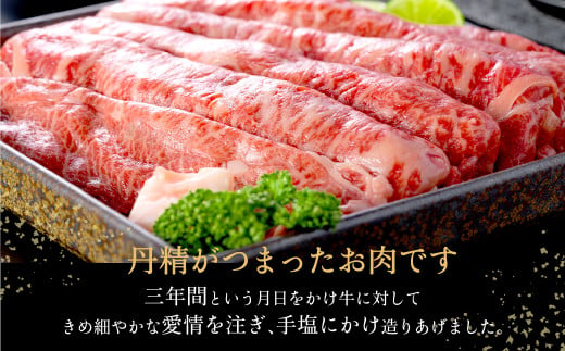 神戸牛 うす切り・切り落とし肉 合計1.1kg 【肩・もも肉 600g+牛肉切り落とし 500g 】/ 訳あり牛肉 切り落とし すき焼き すき焼き肉 しゃぶしゃぶ 肉 食べ比べ 焼肉 赤身 黒毛和牛 TYS3 神戸ビーフ 太田牧場【但馬牛太田家】