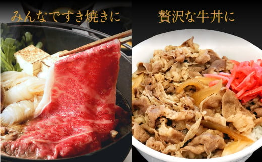 神戸牛 うす切り・切り落とし肉 合計1.1kg 【肩・もも肉 600g+牛肉切り落とし 500g 】/ 訳あり牛肉 切り落とし すき焼き すき焼き肉 しゃぶしゃぶ 肉 食べ比べ 焼肉 赤身 黒毛和牛 TYS3 神戸ビーフ 太田牧場【但馬牛太田家】