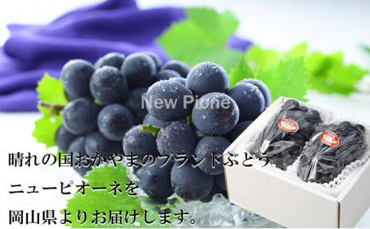 ぶどう 2026年 ニュー ピオーネ 約400g×2房 ブドウ 葡萄  岡山県産 国産 フルーツ 果物 ギフト